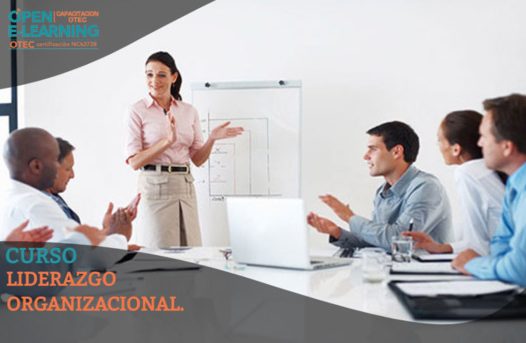 Liderazgo Organizacional
